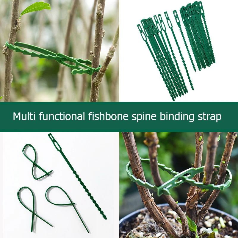 Adjustable and reusable zip ties, used for garden tree fixation and vine climbing plant support. Green zip ties, fish bone thorn