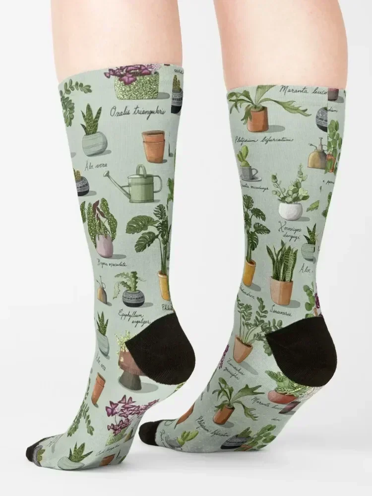 Succulents and Potted Plants Pattern Socks christmas gift football winter Rugby Designer Man Socks Women's