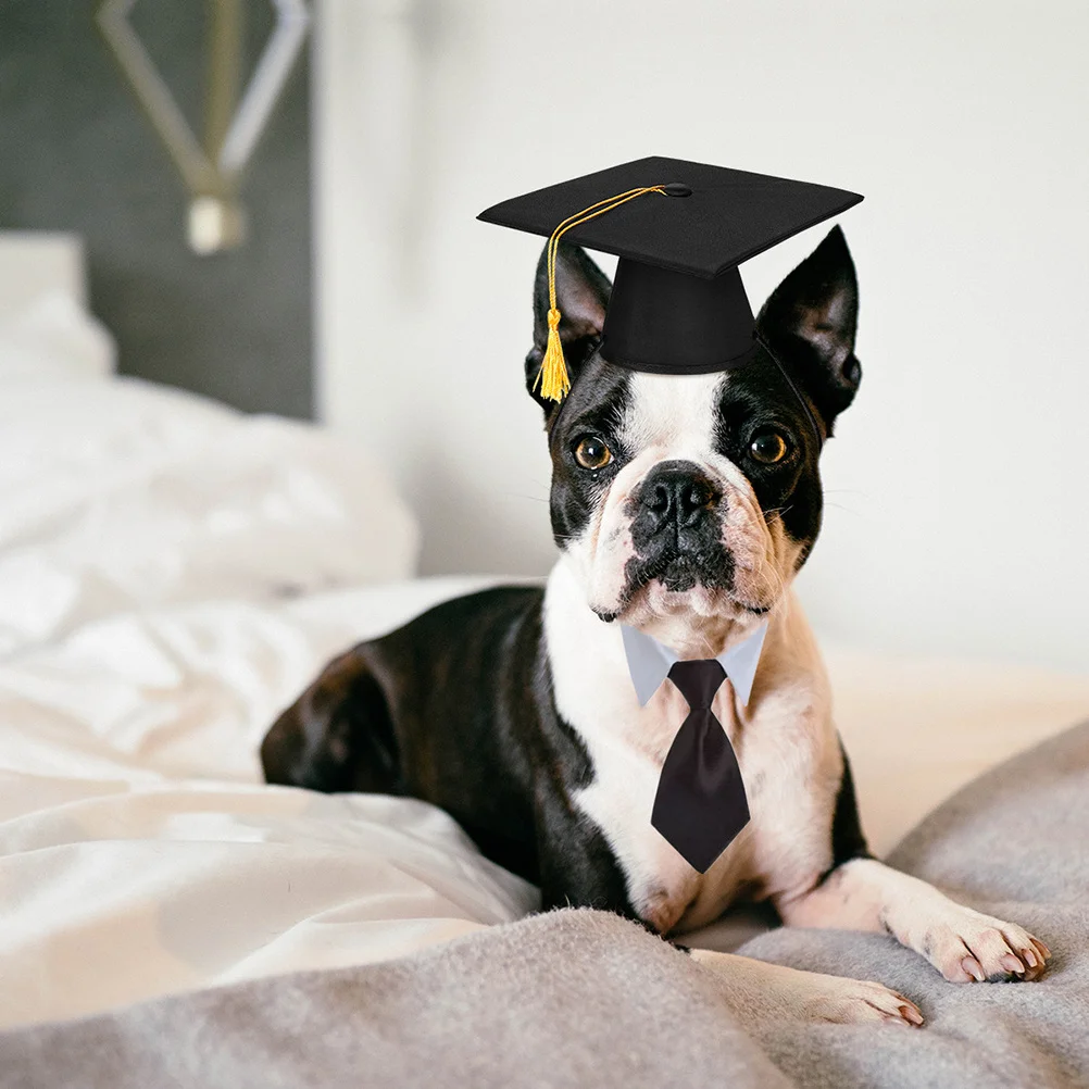 

2Pcs Pet Doctor Cap and Tie Set Black Soft Breathable One Size for Medium Large Small Pets Graduation Party Supplies