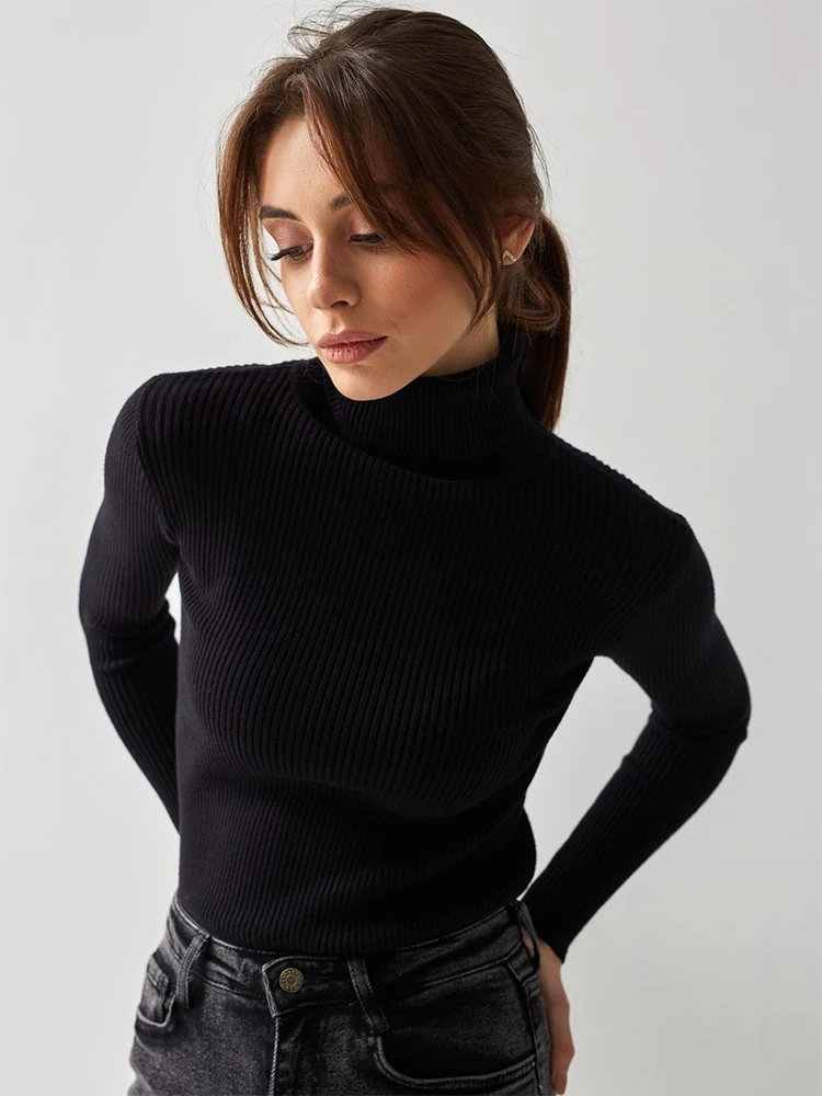 Pullover Sweater Women Long SLeeve Top Turtleneck Neck Slim Basic Knitwear Sweaters Knitted Clothes Autumn Winter Pull Femme