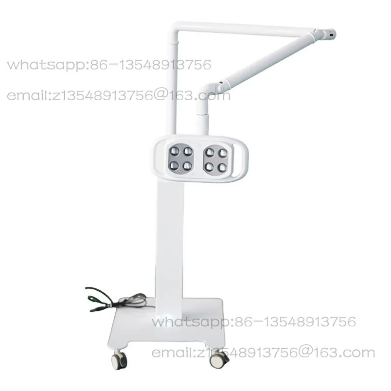 Mobile LED cosmetic plastic surgery cold light pet hospital mobile lighting lamp column spot quick delivery