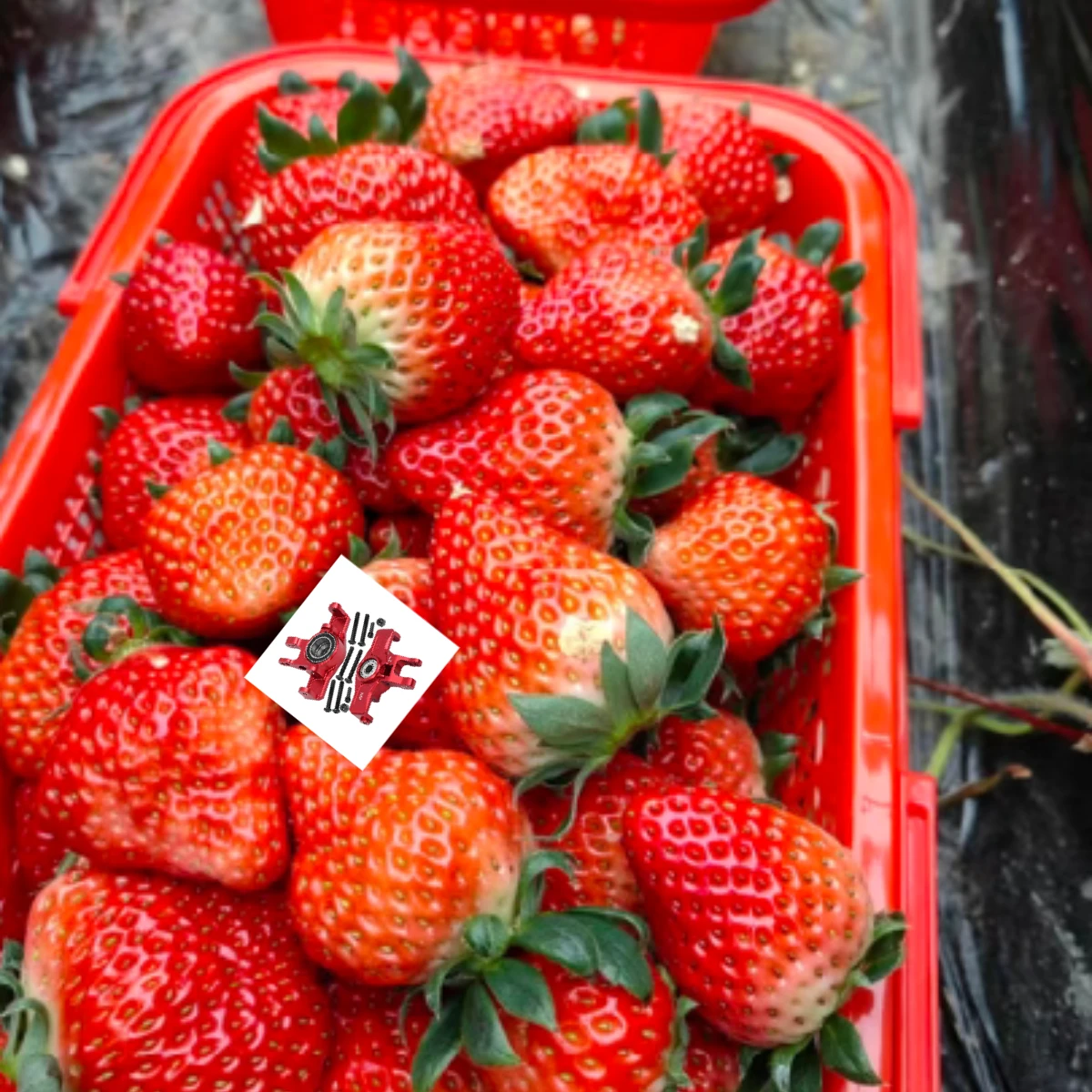 

Передние поворотные рычаги из сплава GPM 7075, большие внутренние подшипники для TRAXXAS 1/7 UNLIMITED DESERT, быстрая доставка и без беспокойства, послепродажа