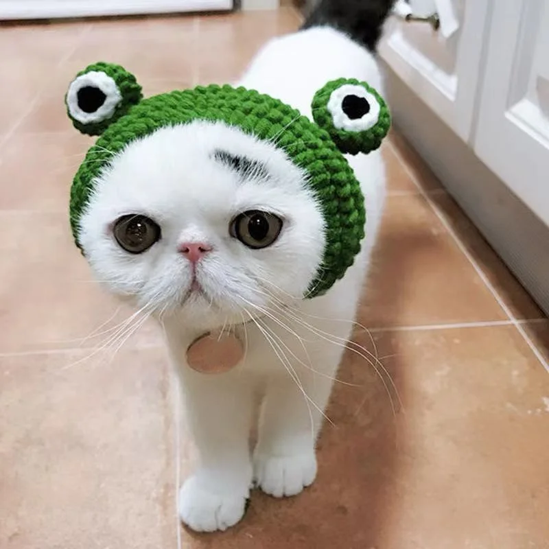 Knitting Wool Pet Hat Cute Cat Headwear Frog Puppy Kitten Hat Handmade Winter Autumn Dog Accessories for Little