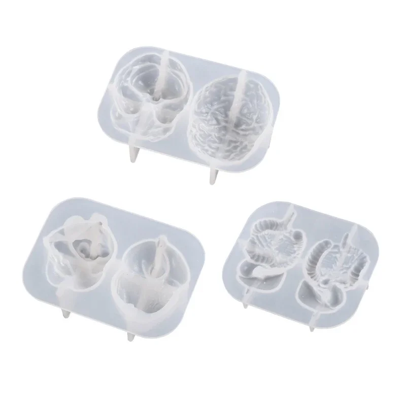 

Human Organs Shape Silicone Molds Heart Brain Resin Epoxy Mold Cupcake