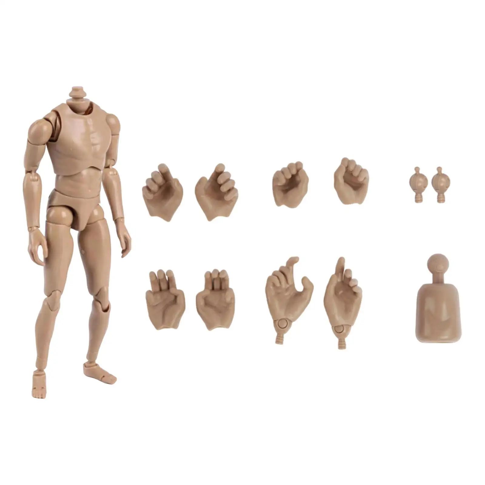 

1/6 Scale Male Action Figure Body 12 inch Male Body Model Muscular Body