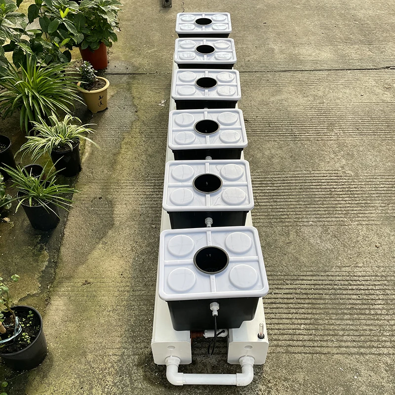 Dutch Bucket Hydroponic System, Soilless Cultivation Kit for Garden Greenhouse Farm - view 6