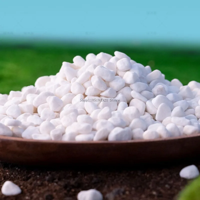 1kg Natural Selection Horticultural White Stone Interior Decoration Natural Landscaping Flower Planting Fish Tank Landscaping
