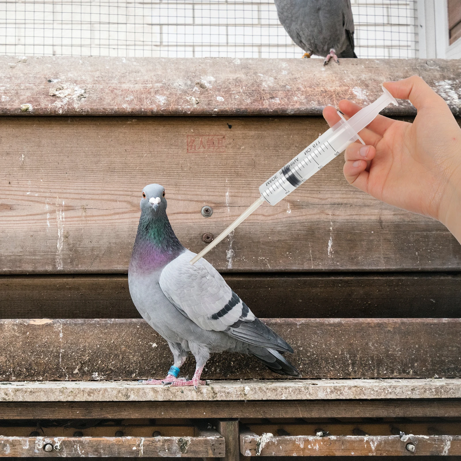

4pcs Pigeon Feeder Birds Pet Pills Dispenser Portable Fluid Feeding Gadget Plastic For Bird Pigeon Pet Supplies
