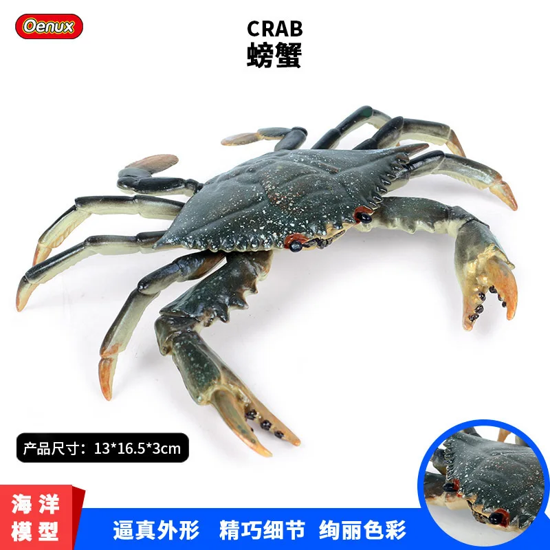 Children's simulation of marine wildlife toy solid swimming crab crab crab hairy crab model