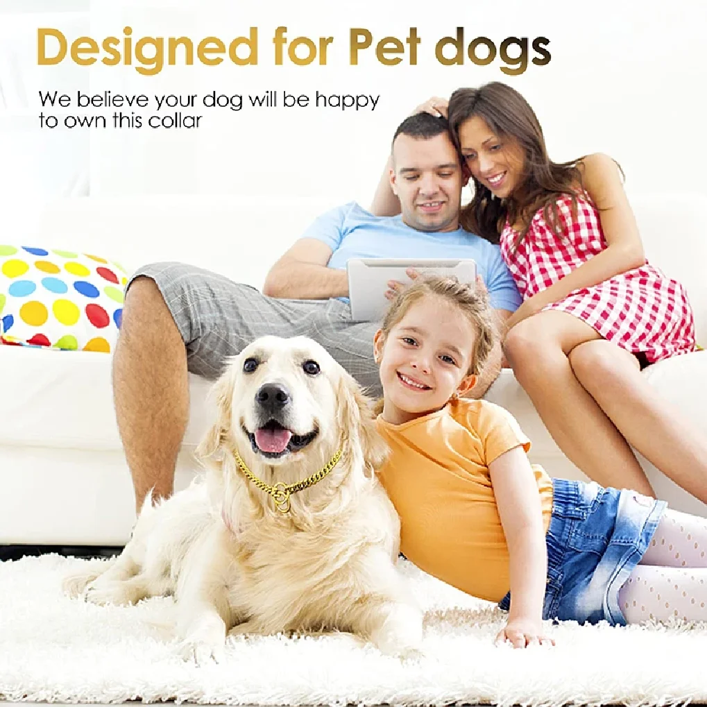 Collar de cadena inoxidable, Collar grande, cadena para perros de Metal, eslabones medianos, eslabón pequeño de acero dorado, entrenamiento para caminar cubano