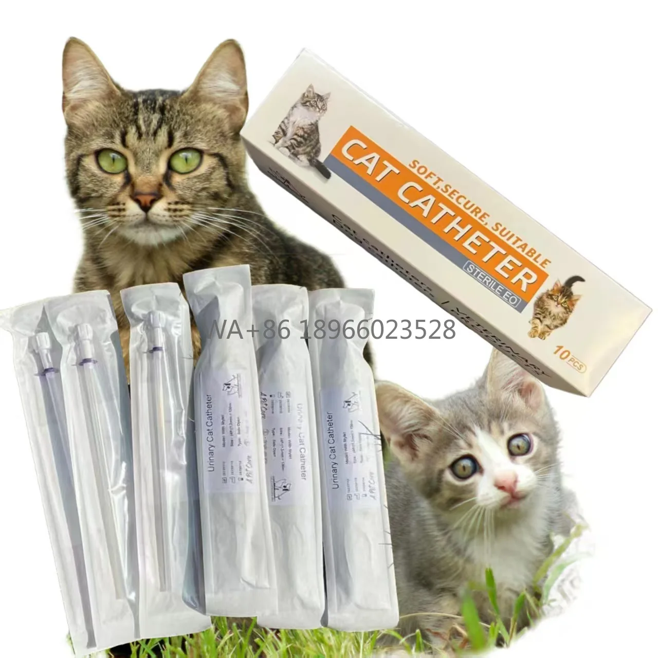 catetere-urinario-veterinario-monouso-per-gatti-catetere-urinario-per-animali