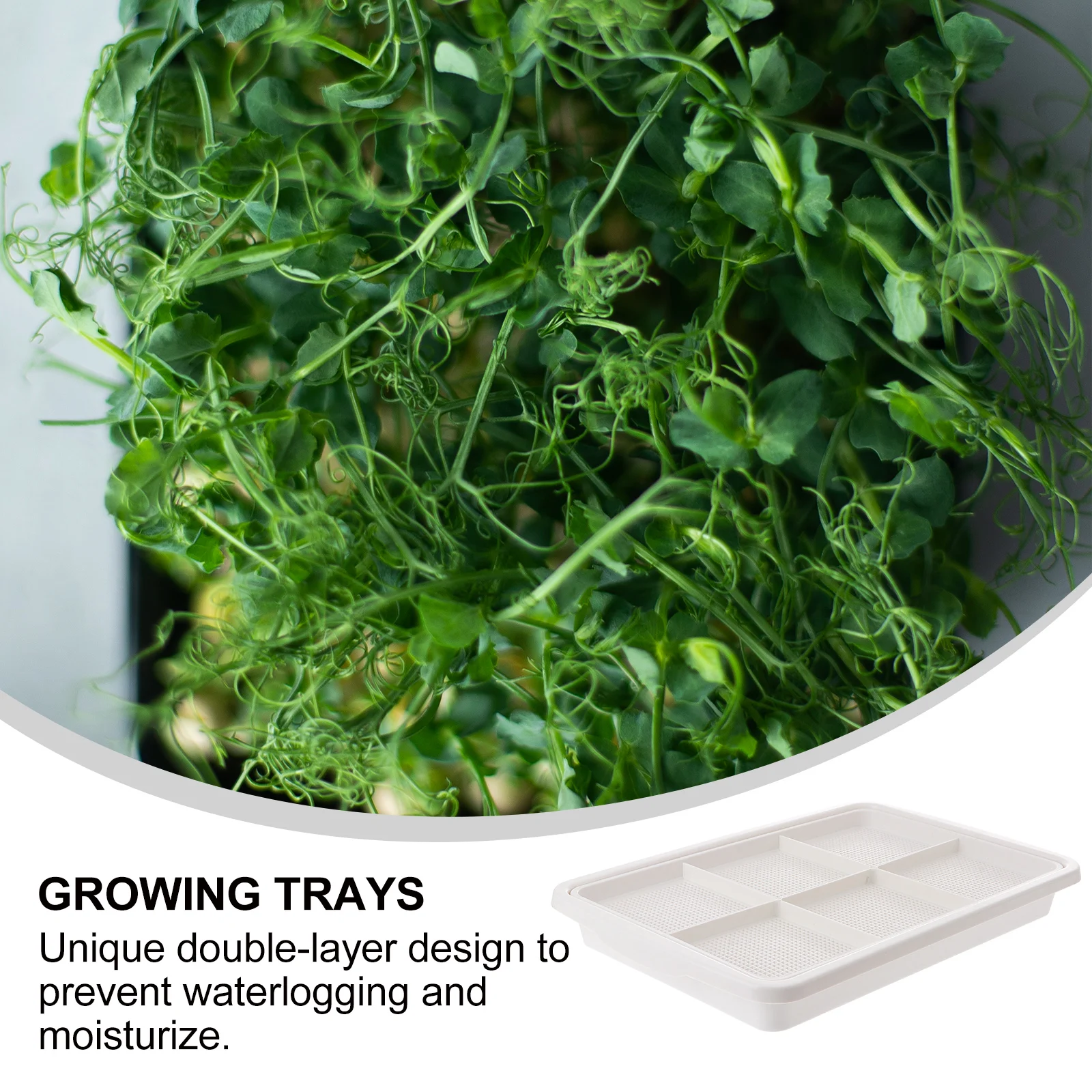 

Double Layer Nurseryhydroponic Sprouter Tray Microgreens Growing Durable Transparent Water-Saving Balcony Garden Vegetable