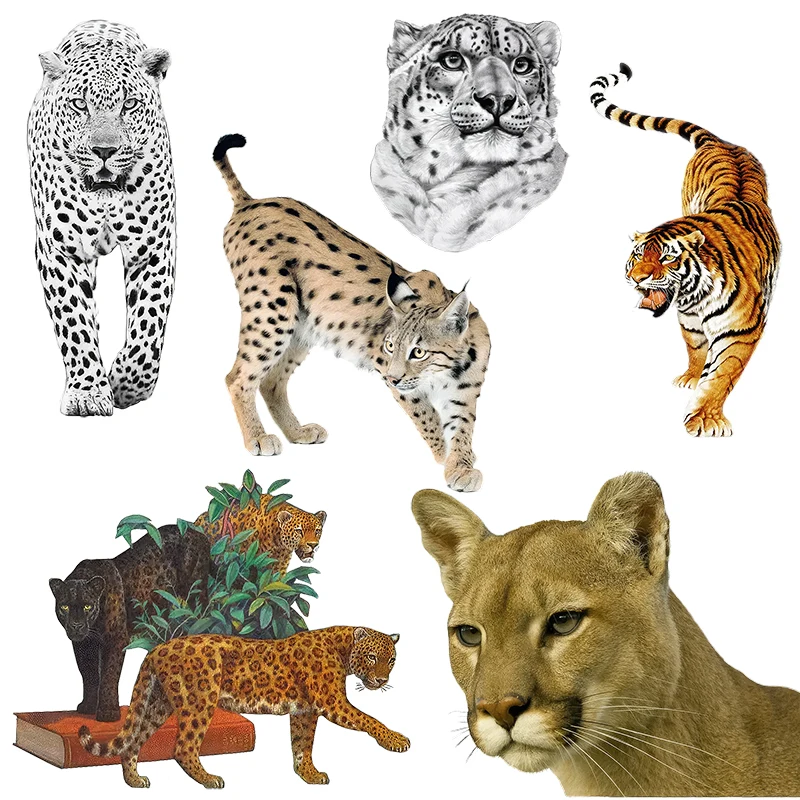 Three Ratels QD150  Leopard  Personalized waterproof car stickers  computer decals art wall stickers