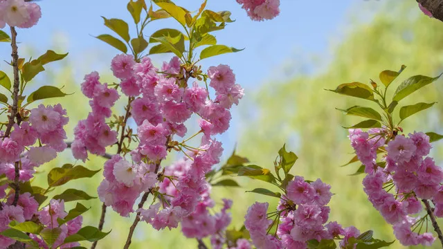 

4Pcs CNC Aluminum Alloy 2.2 Beadlock Wheel Rim for 1/10 RC Crawler Car Axial SCX10 90046 AXI03007 TRX4 VS4-10 Redcat Gen8