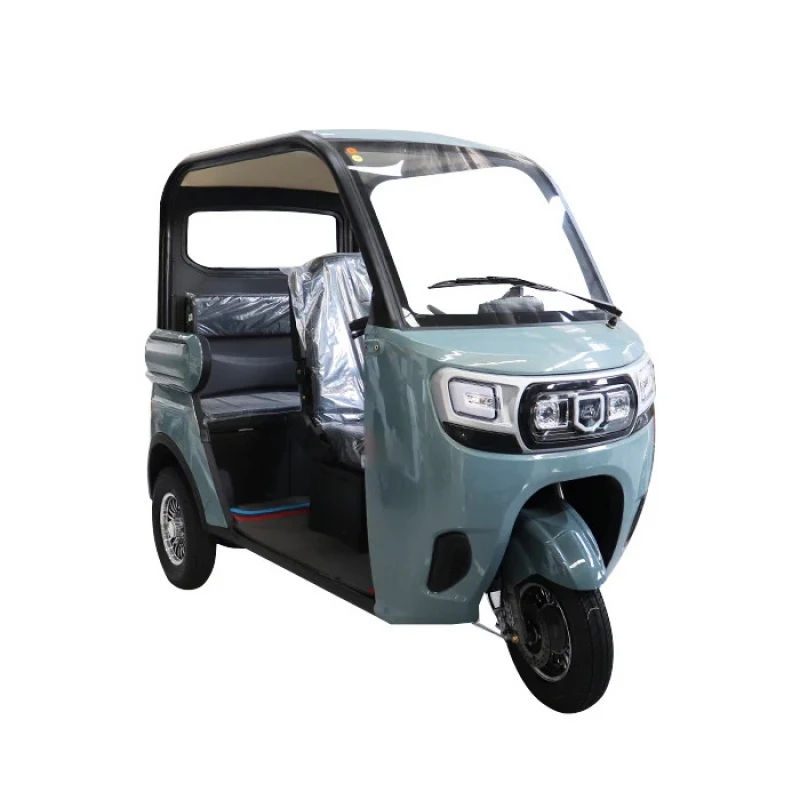 Tricycle E-Bike Fami Use 3 Wheel Pedic Elder