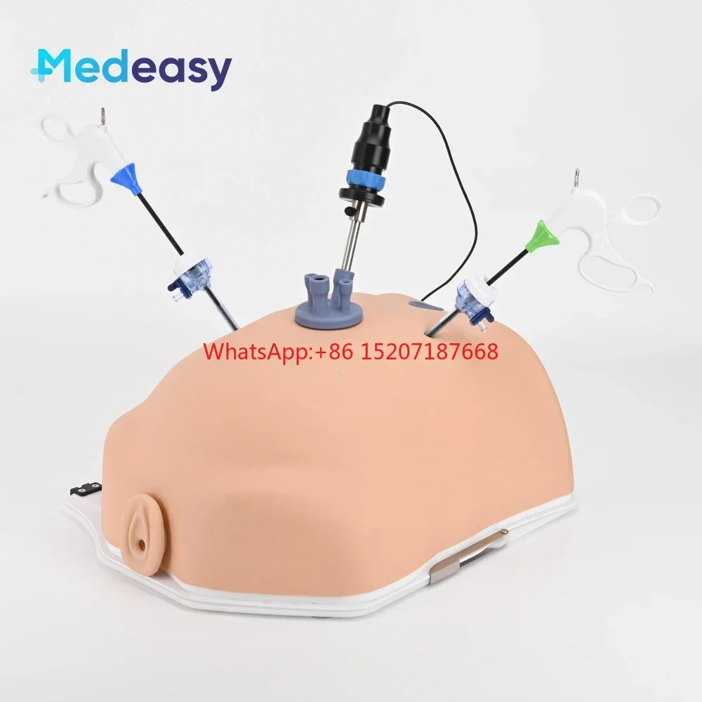 

New Simulated Belly Laparoscopic Simulator Box Endotrainer with HD Camera and Gynecological Training Modules
