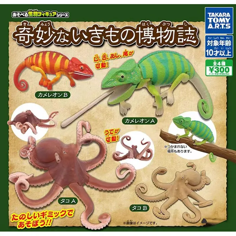 

Japanese Bandai Genuine Gacha Scale Model Animal Cognitive Model Octopus Chameleon Cute Tabletop Decoration Action Figure Toys