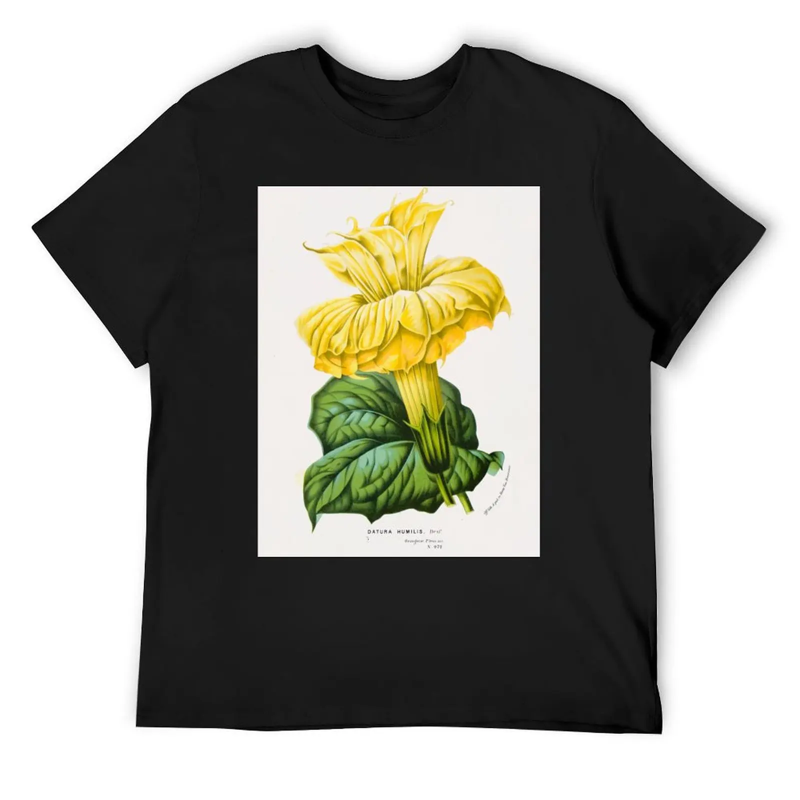 

Datura metel Botanical Illustration T-Shirt summer 2025 cute tops graphic t shirts clothes for men