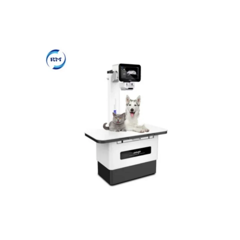Medical Veterinary X-Ray Machine  Animals Hospital Clinic Factory Wholesale Digital Pet X-Ray equipment