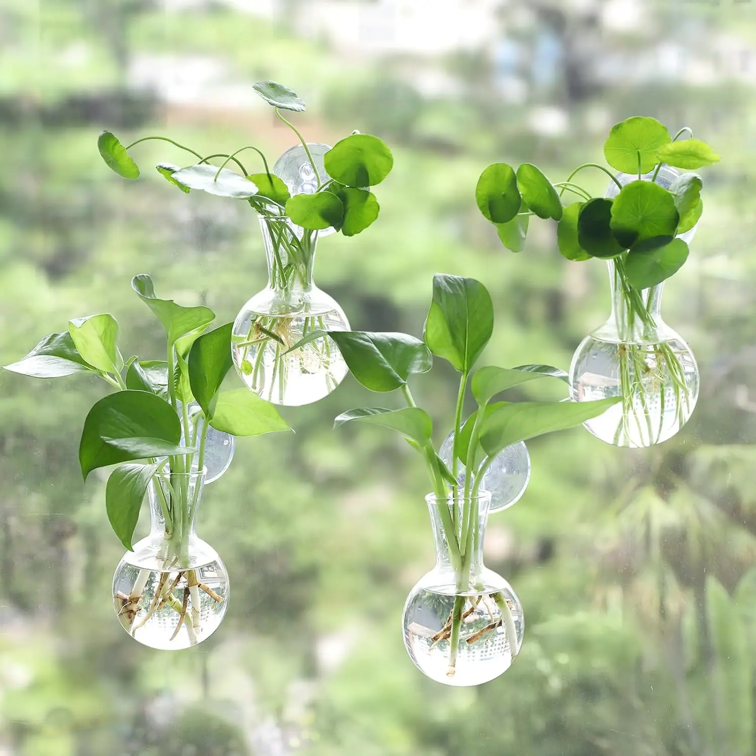 

4-Pack Window Propagation Stations with Suction Cups, No Nails Wall Hanging Planter, Glass Plant Terrarium Vase