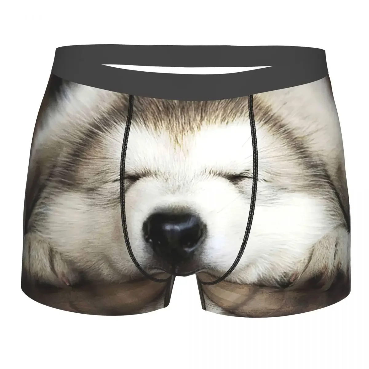 Animal Husky Husky Dogs Puppy Sleeping Underpants Breathbale Panties Male Underwear Print Shorts Boxer Briefs