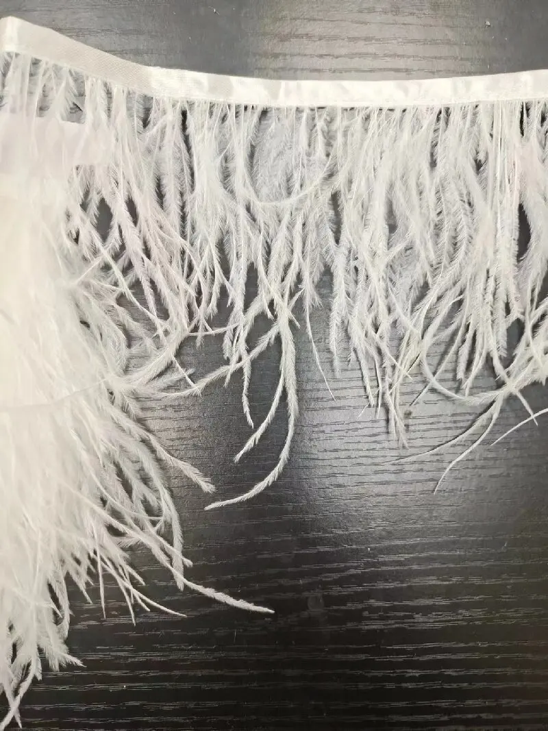 

10 Yards Fluffy Ostrich Feathers Trim Fringe Clothes Needlework Accessories Ribbon Feather on Tape Decoration Handicraft