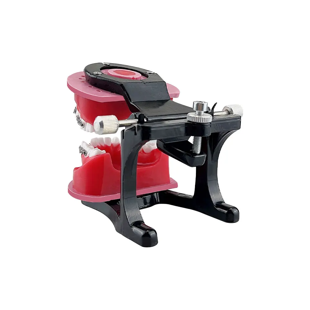 

Модель для демонстрации ортодонтического лечения: зуботехническая модель с десневым воском, гибкая, для демонстрации аномалий прикуса, типодонт для практики стоматологов