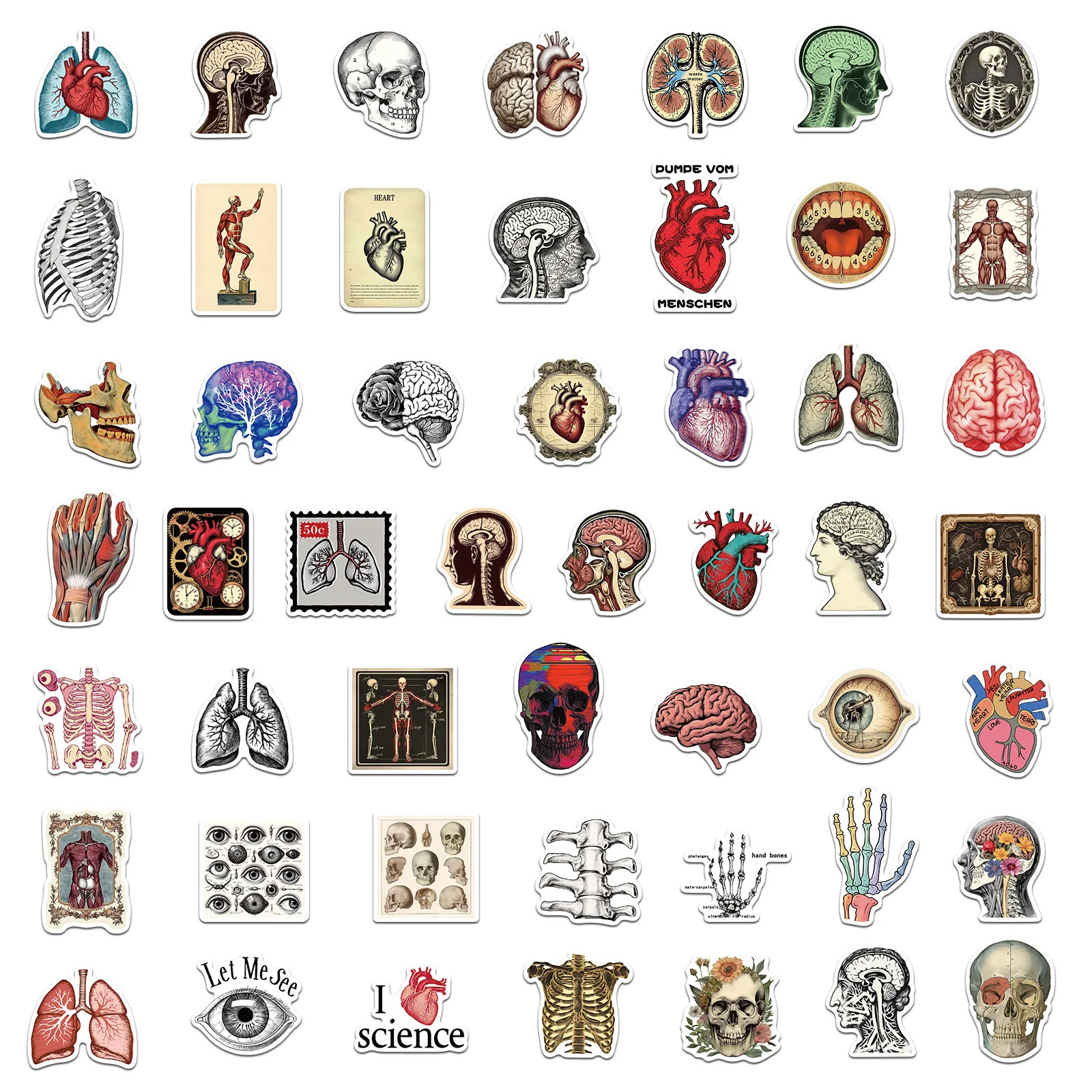 50PCS Retro Wissenschaftliche Anatomie Aufkleber Skelett Exquisite Handbücher Material Telefon Fällen Laptop Koffer Wasser Tassen Wasserdicht