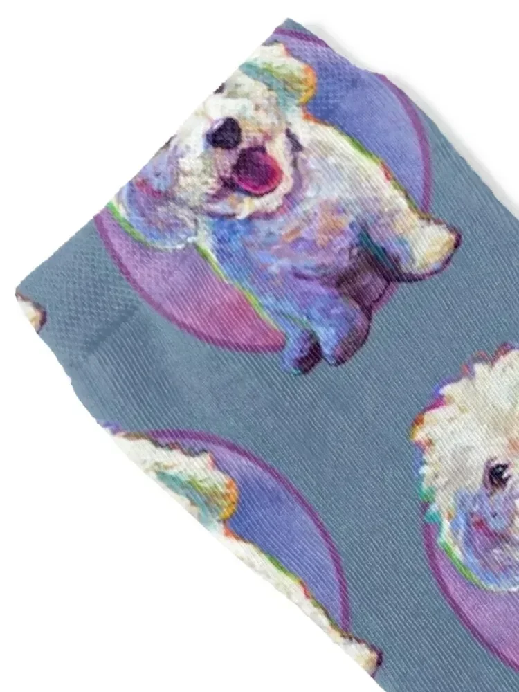 Super Cute Bichon Frise by Robert Phelps Socks retro Sports Socks Man Women's