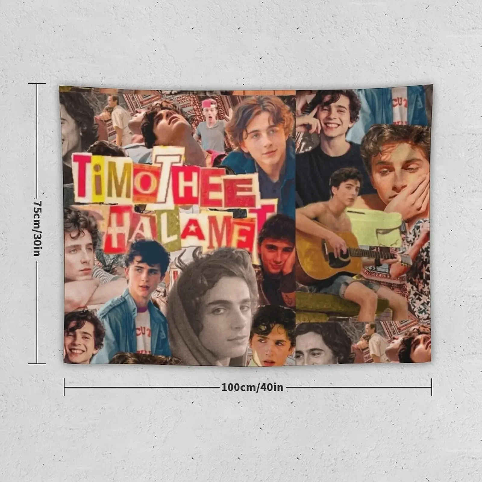 Timothée Chalamet Tapestry Room Decor For Girls Wall Coverings Tapete For The Wall Room Aesthetic Decor Tapestry