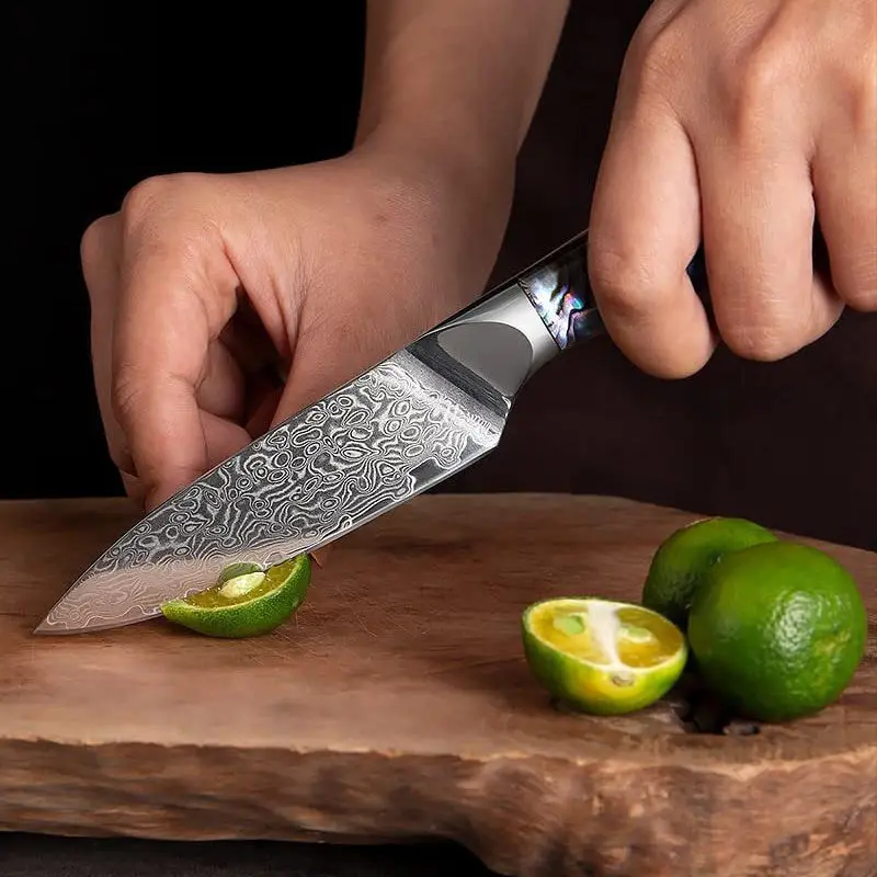 TJ POP Damascus Steel 9 Pcs Kitchen Knives Set Abalone Shell Handle Sharp Paring Santoku Cleaver Nakiri Kiritsuke Chef Knifes