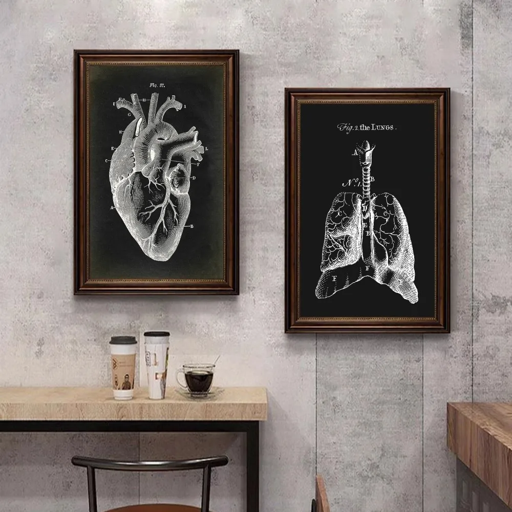 Human Anatomy Muscles System Art Whitepaper Poster HD Quality Poster Wall Art Painting Study Room Wall Decor view 2