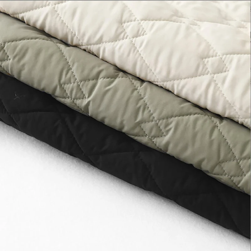 Warm solid color women vest autumn and winter Korean fashion vest slim fashion  2025 Casual Elegant horse clip jacket for women