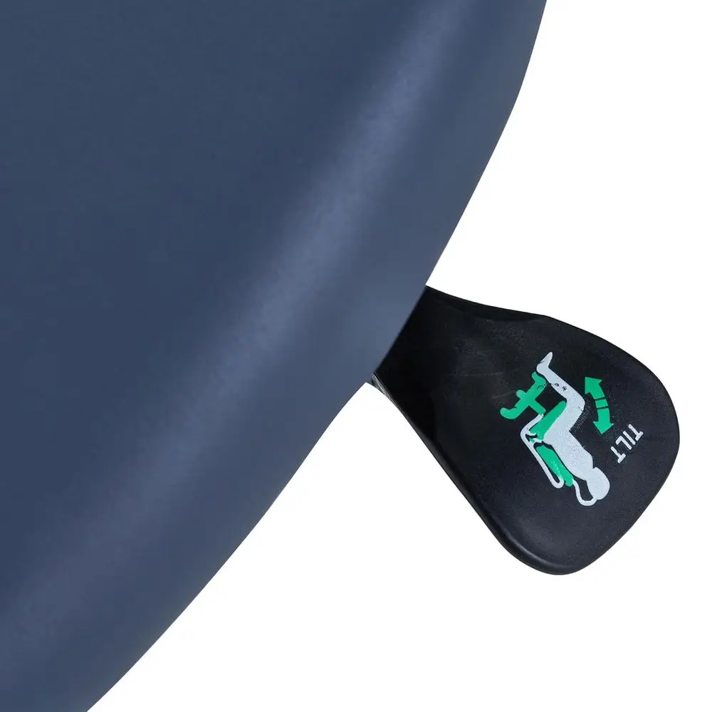 Sgabello da sella ergonomico con schienale, sedile regolabile, sedia girevole idraulica per supporto posturale, blu, massaggio Berkeley Master