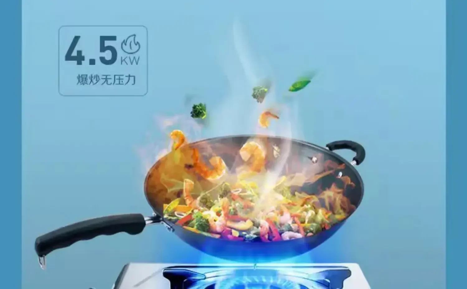 Powerful Gas Range by Macro, TG10 Gas Stove for Household Cooking, Single Burner with Natural & Liquefied Gas Option