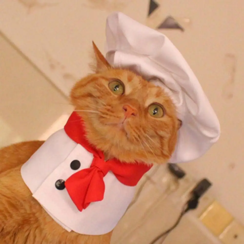 High Quality Polyester Cat Chef Hat Set Cosplay Props Pet Accessories Pet Cooking King Hat Pet Hat Pet