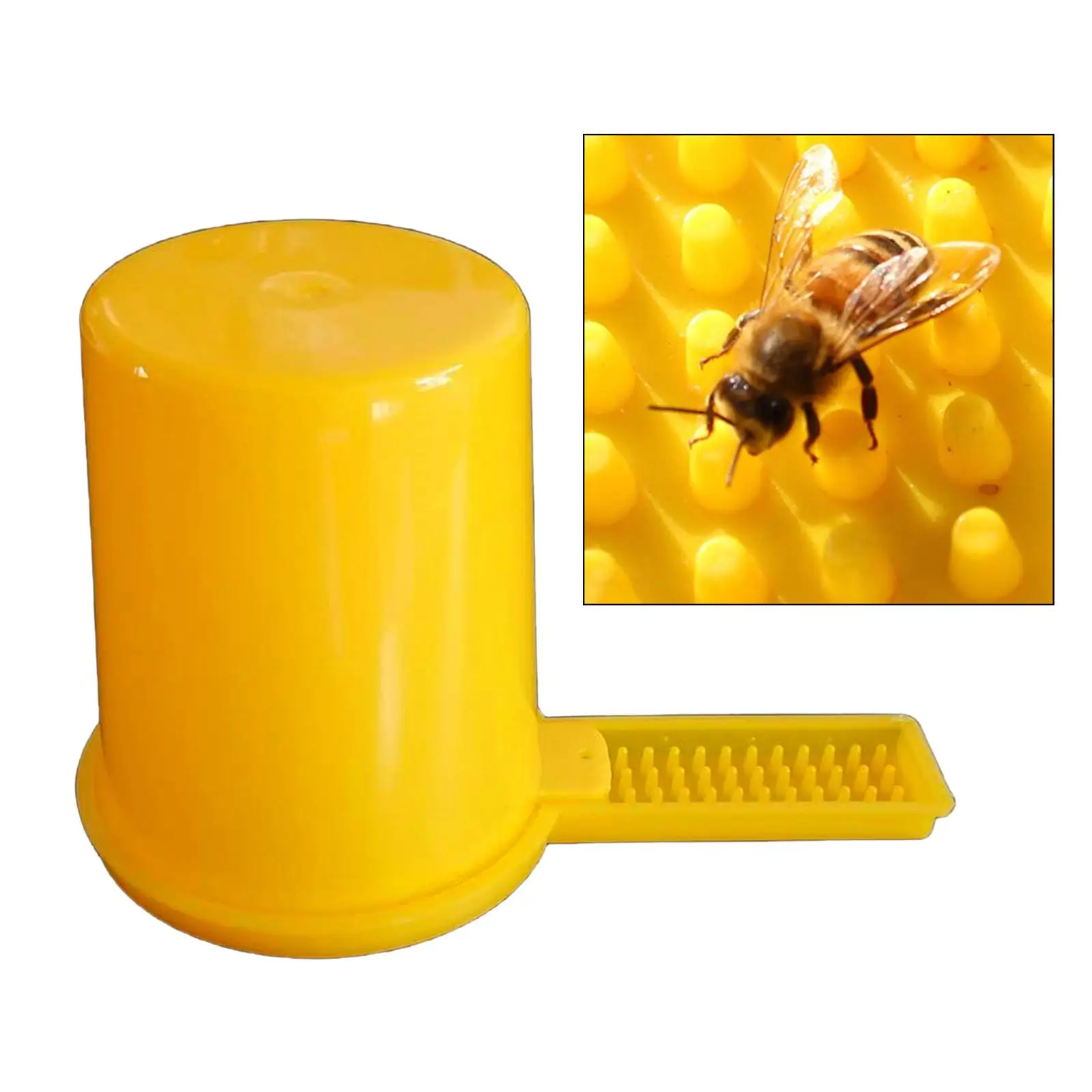 Beekeeping Beehive Water Feeder,Bee Drinking Nest Entrance Beekeeper ,Drinking Nest Beekeeper Beekeeper