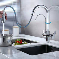 Kitchen Sink Faucet with Pull Down Sprayer 2 Handles 3 in 1 Water Filter Water Purifier Faucet Countertop Sink Hose Accessories