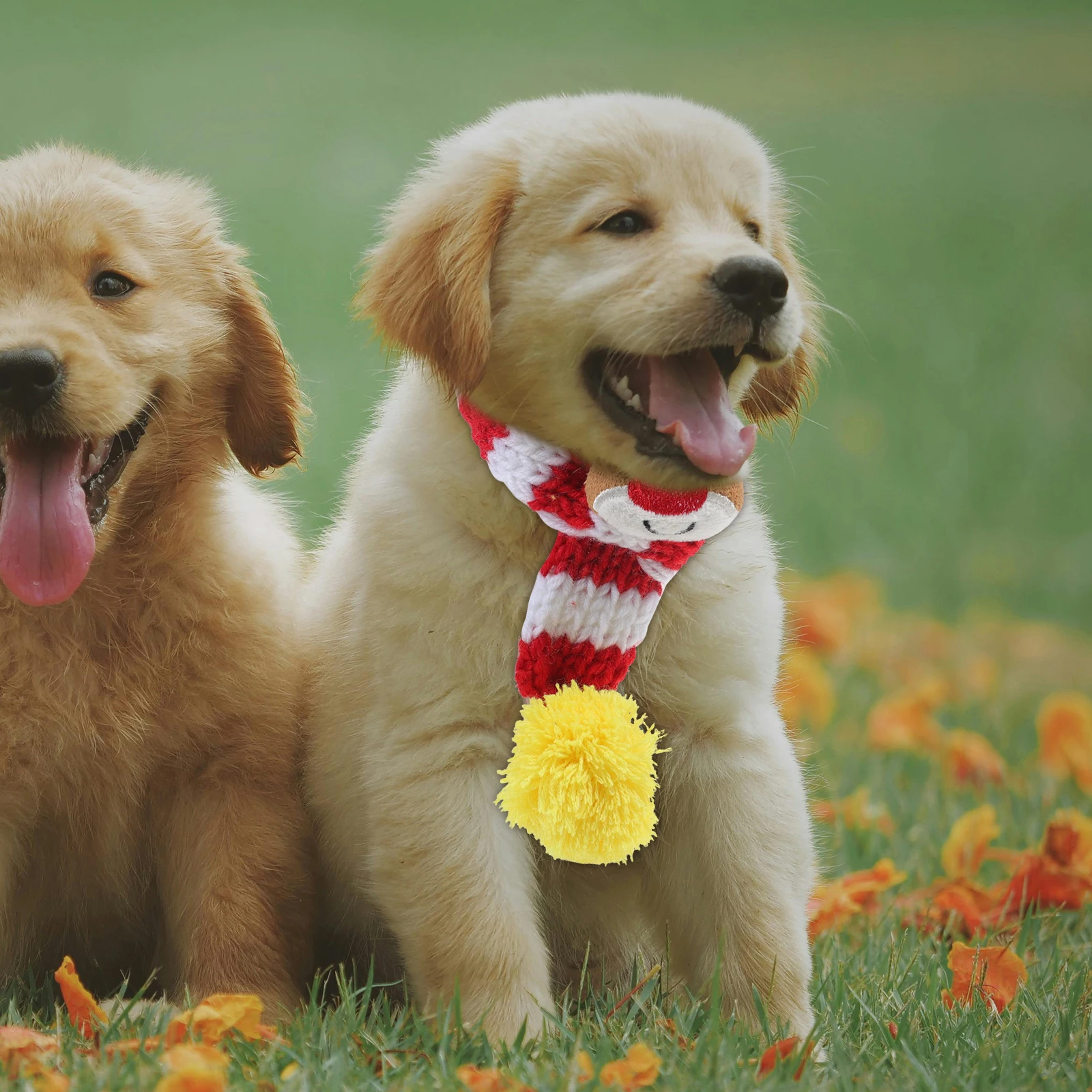 

Pet Scarf Decorative Dog Breathable Cat to Weave Comfortable Knitting Christmas Bulk