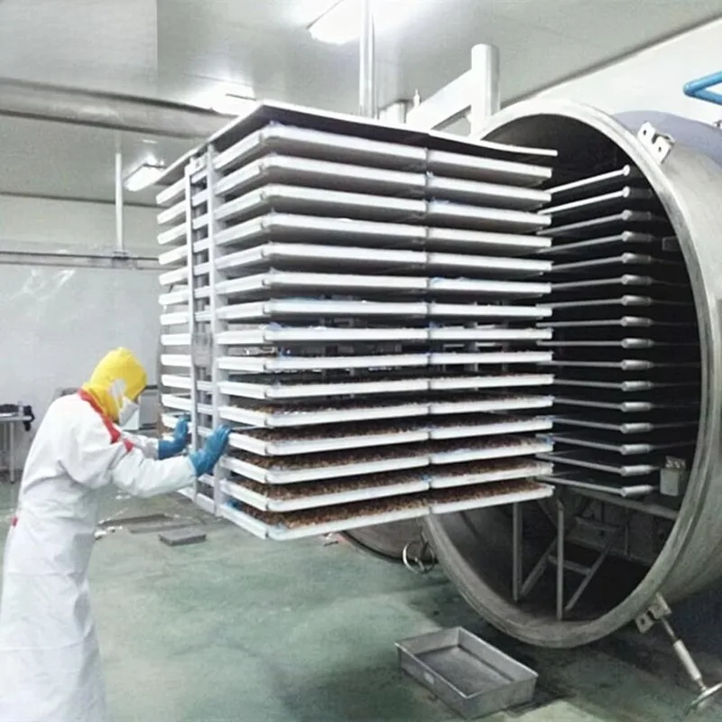 Customized Fully automatic vacuum freeze dryer industrial-grade food freeze dryer compatible with food production assembly lines