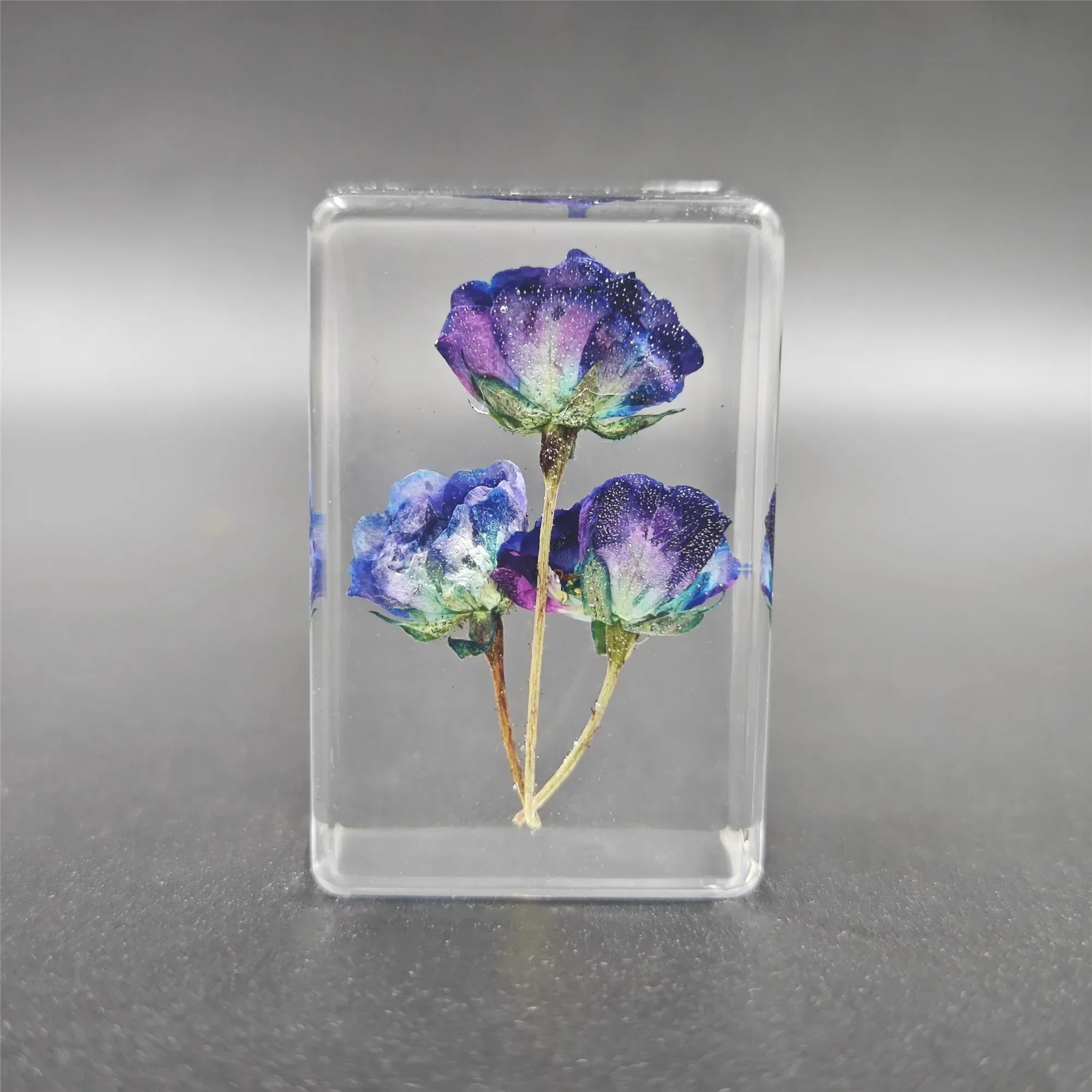 Small animal real insect resin real insect scarab spider beetle specimen flower marine plant teaching gift box home decor