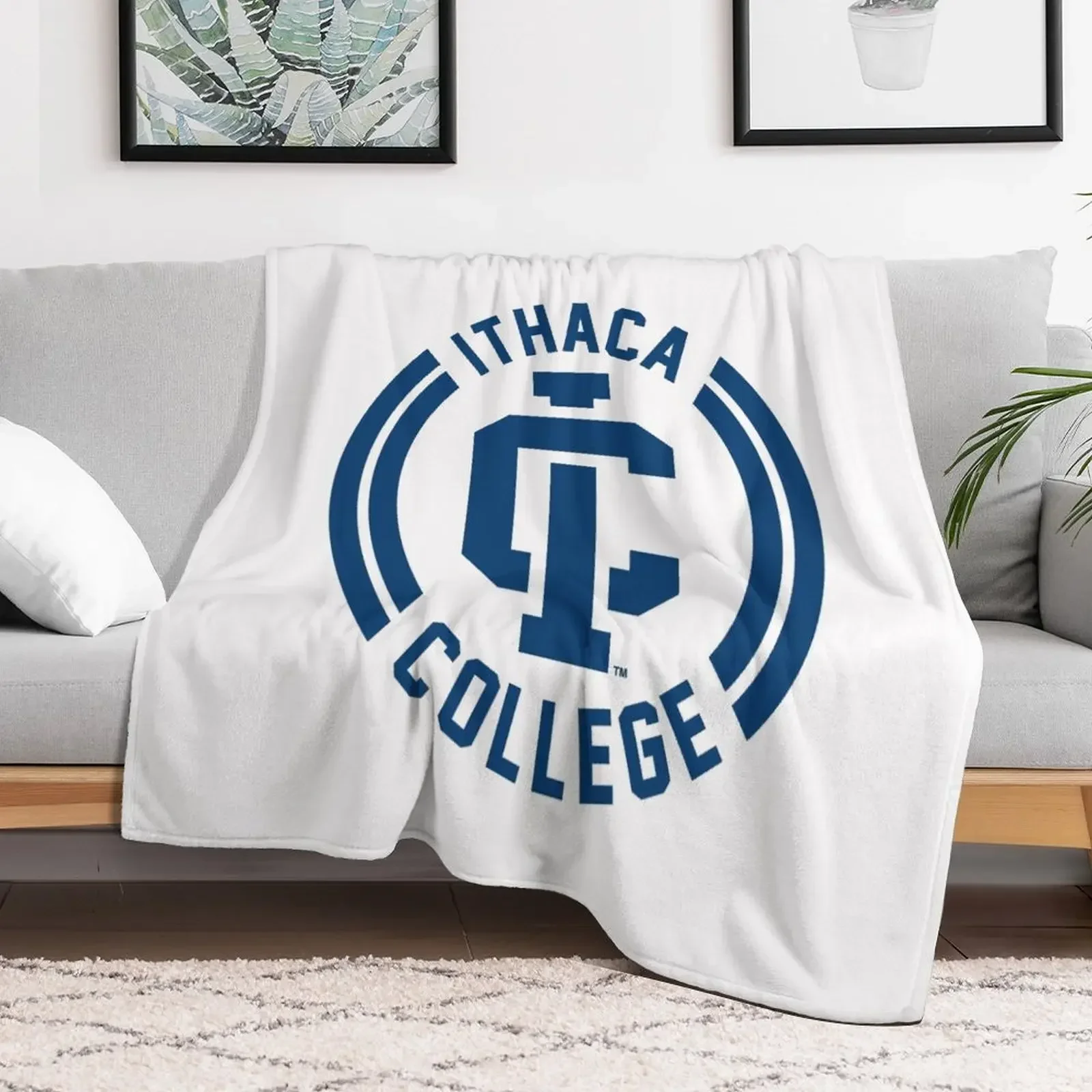 Ithaca College bombers Throw Blanket Thin Flannel Fabric Luxury St Baby Blankets