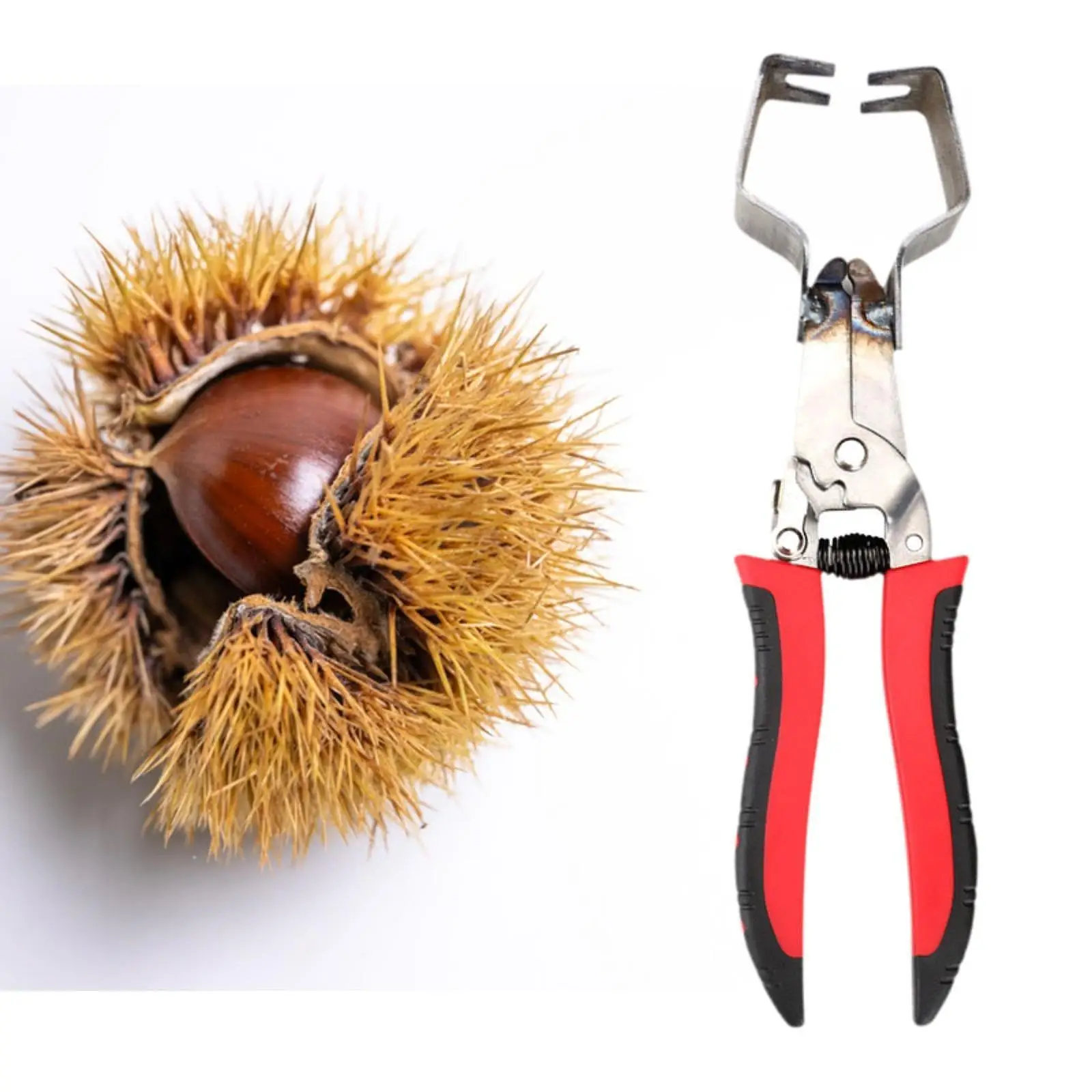 Chestnut Burr Remover Easy to Use Practical Convenient Chestnut Shelling Tool Chestnut Opener for Planting