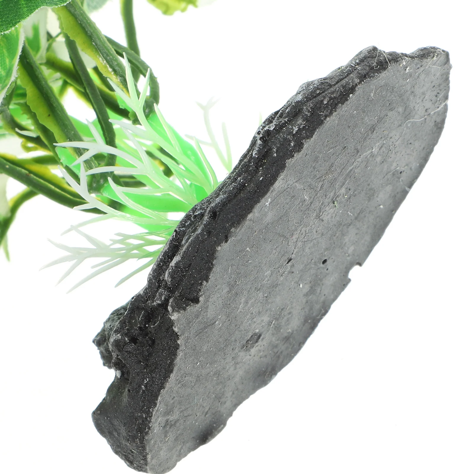 

Aquarium Decor Plastic Fish Tank Plants Safe for Fish and Other Plants Delicate Ornament for Both Freshwater and Saltwater