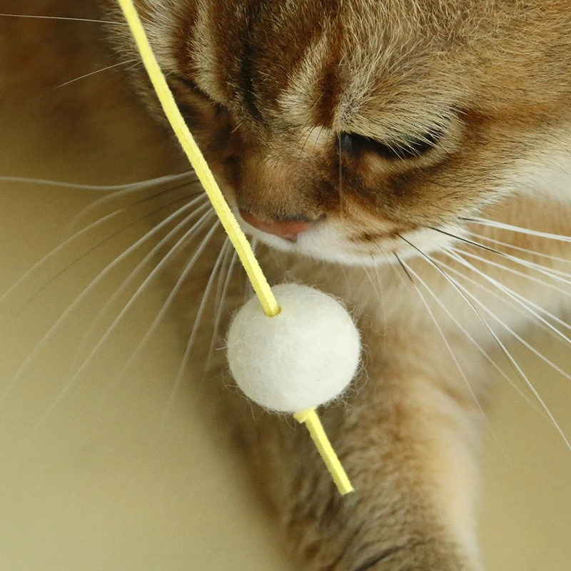 Cat Toy Puzzle Category Squeaky Teasing Interactive Kitten Toy Leakage of Food Wool Ball Chew-resistant Cat Toy