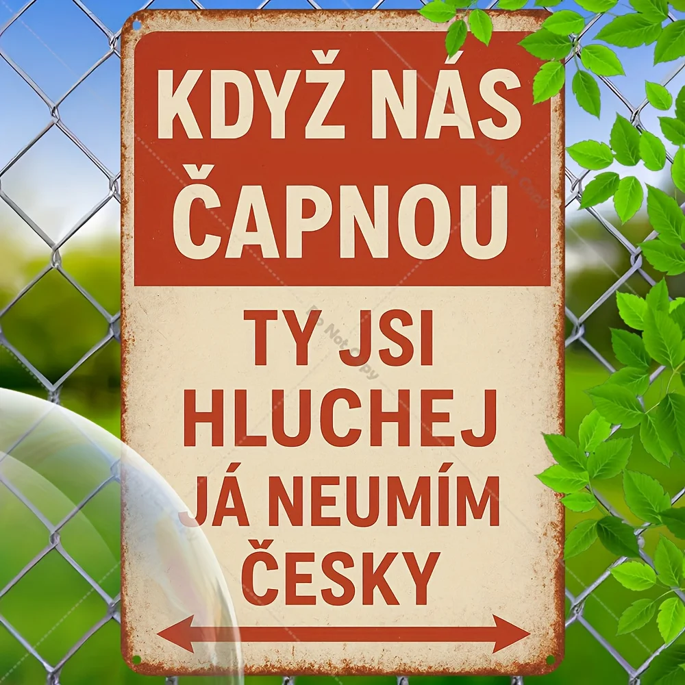 2D Flat - Czech Slogan Retro Tin Sign in 2D Flat, Measuring 20X30 Cm. This Aluminum Metal Wall Art Features a Vintage Design