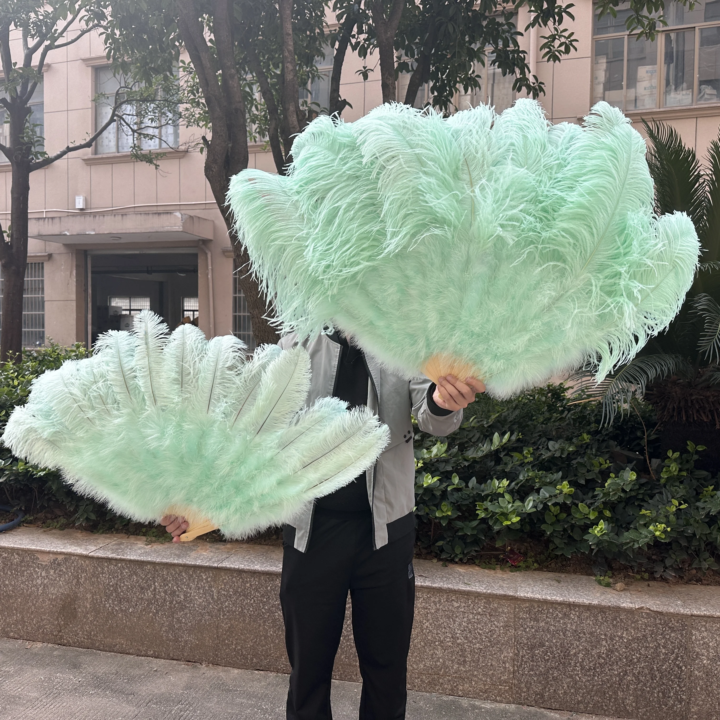 2PCS Natural Ostrich Hand Feather Fans for Stage Performance Dancer Show Wedding Party Carnival Props Ostrich Plumes Hand Fans