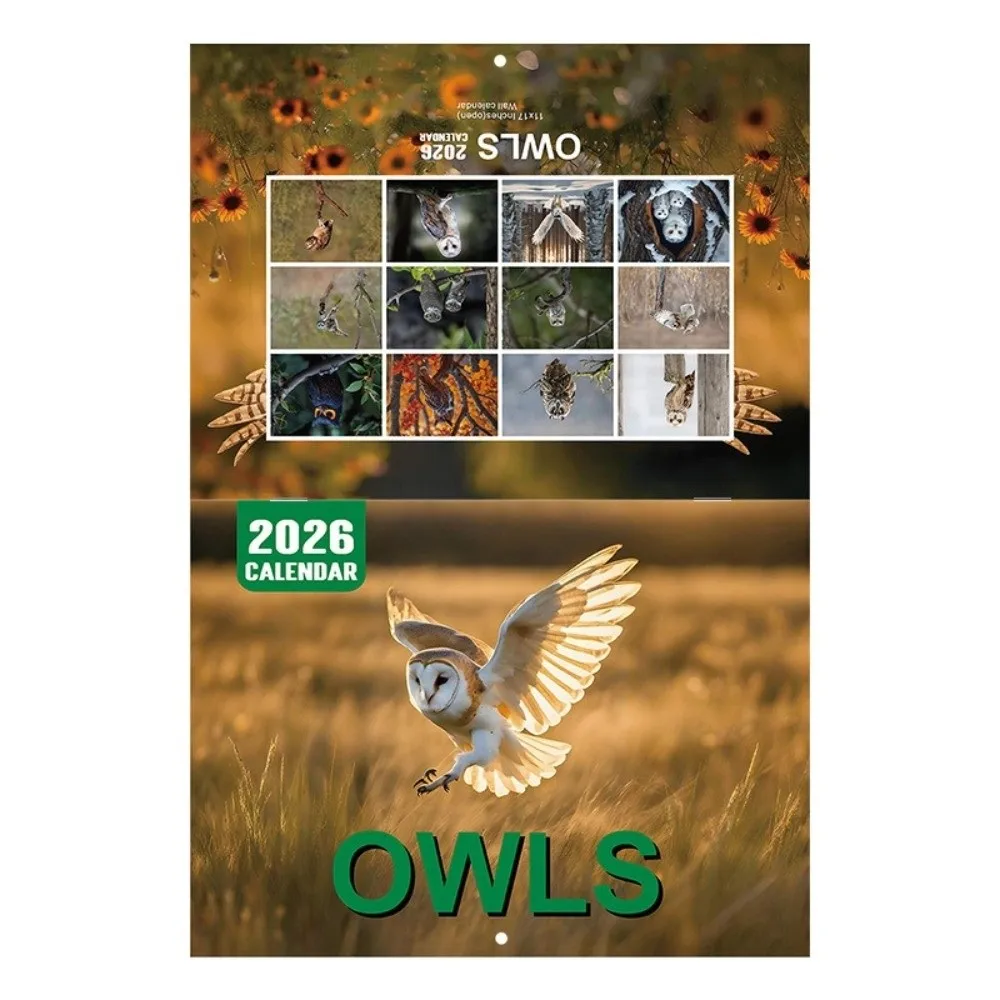 

National Parks Money Smarts for Kids Calendar Coated Paper Beautiful Pictures Owls Wall Calendar High Quality Pissed-off Cats