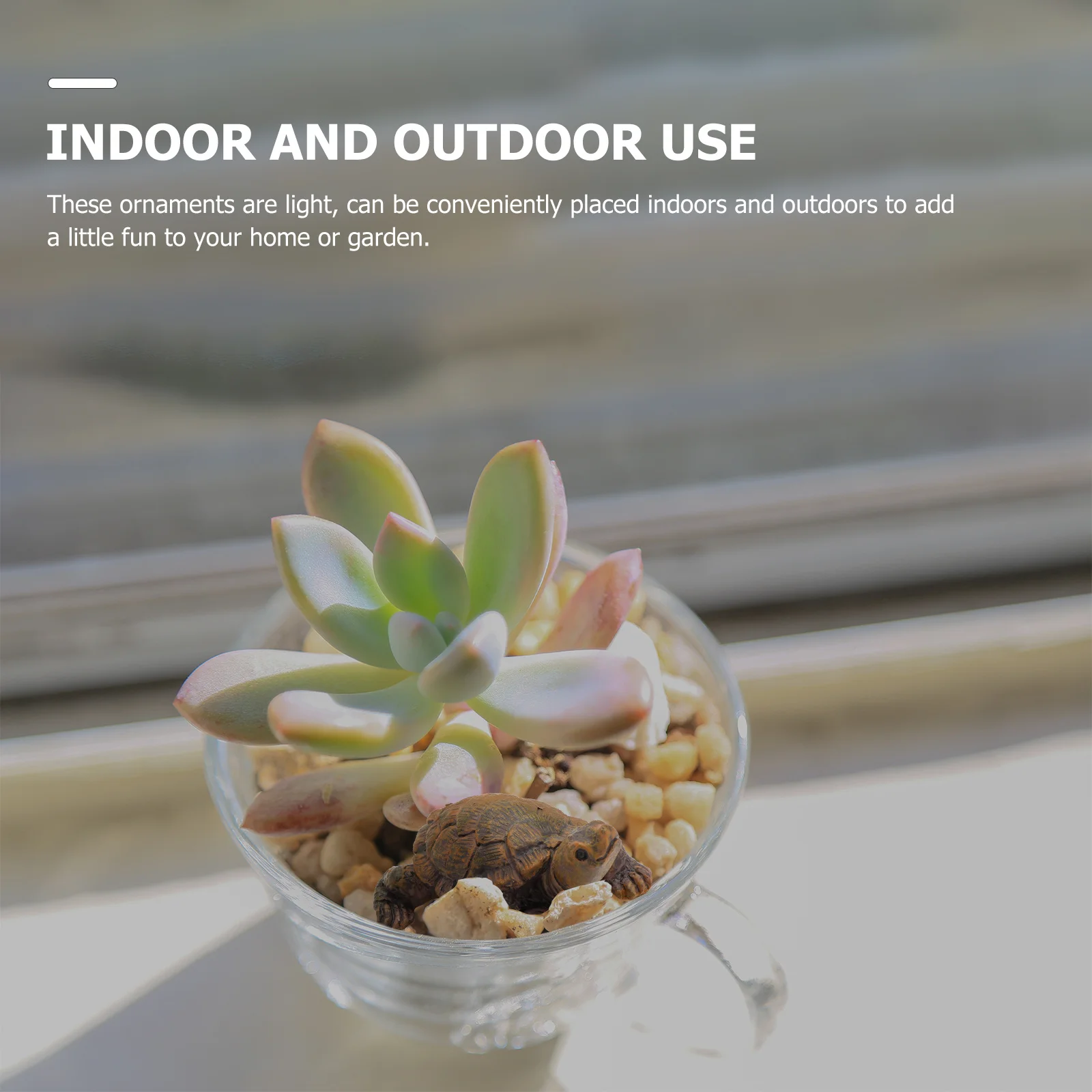 

3Pcs Micro Landscape Turtle Ornaments Small Resin Turtle Decorations for Home Office Gardening Moss Decor Micro Landscape Decors