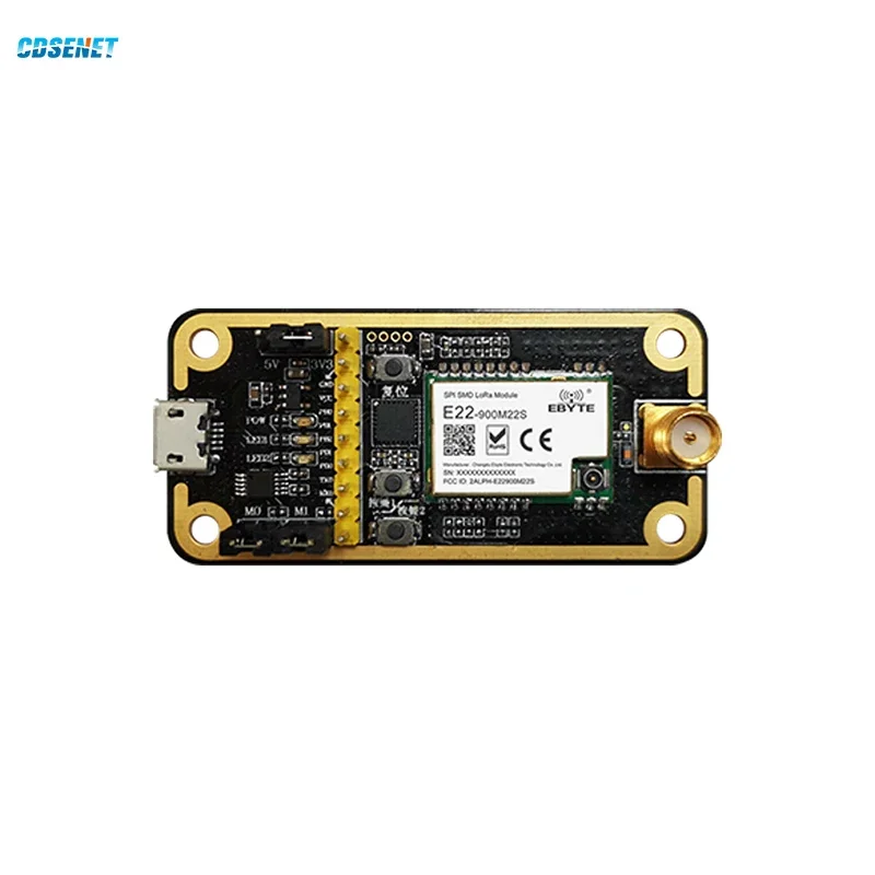 CDSENET Development Test Version Plus Antenna Plus Usb Adapter Cable Set E22-900MBL-01 For LoRa Spread Spectrum Module